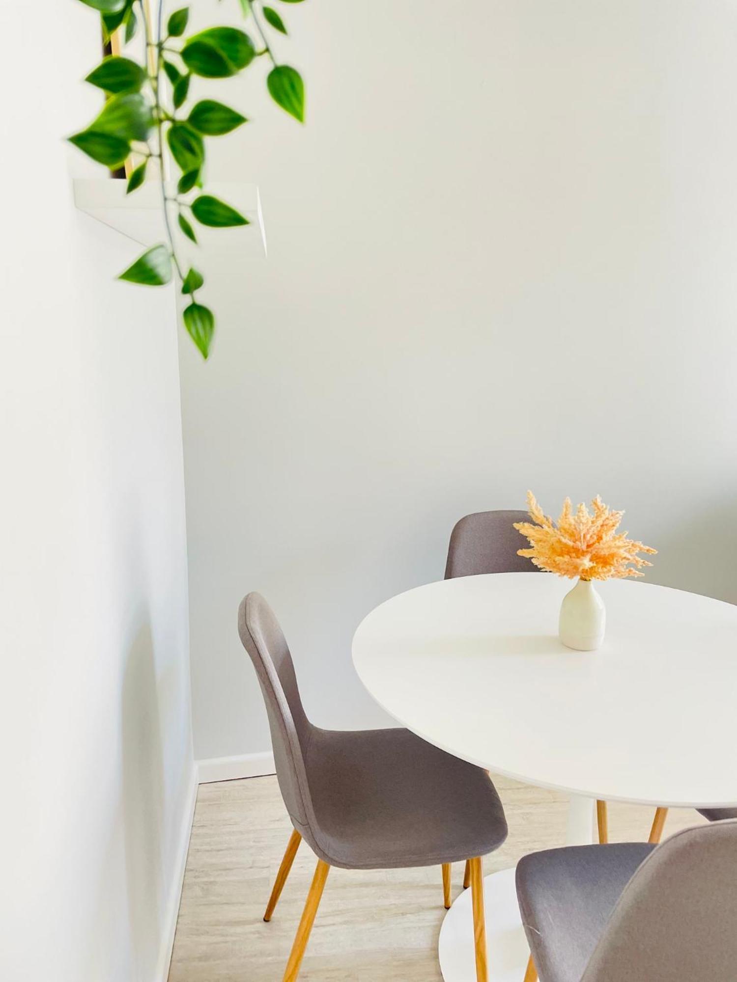 Jano Apartment Klaipeda City Center المظهر الخارجي الصورة