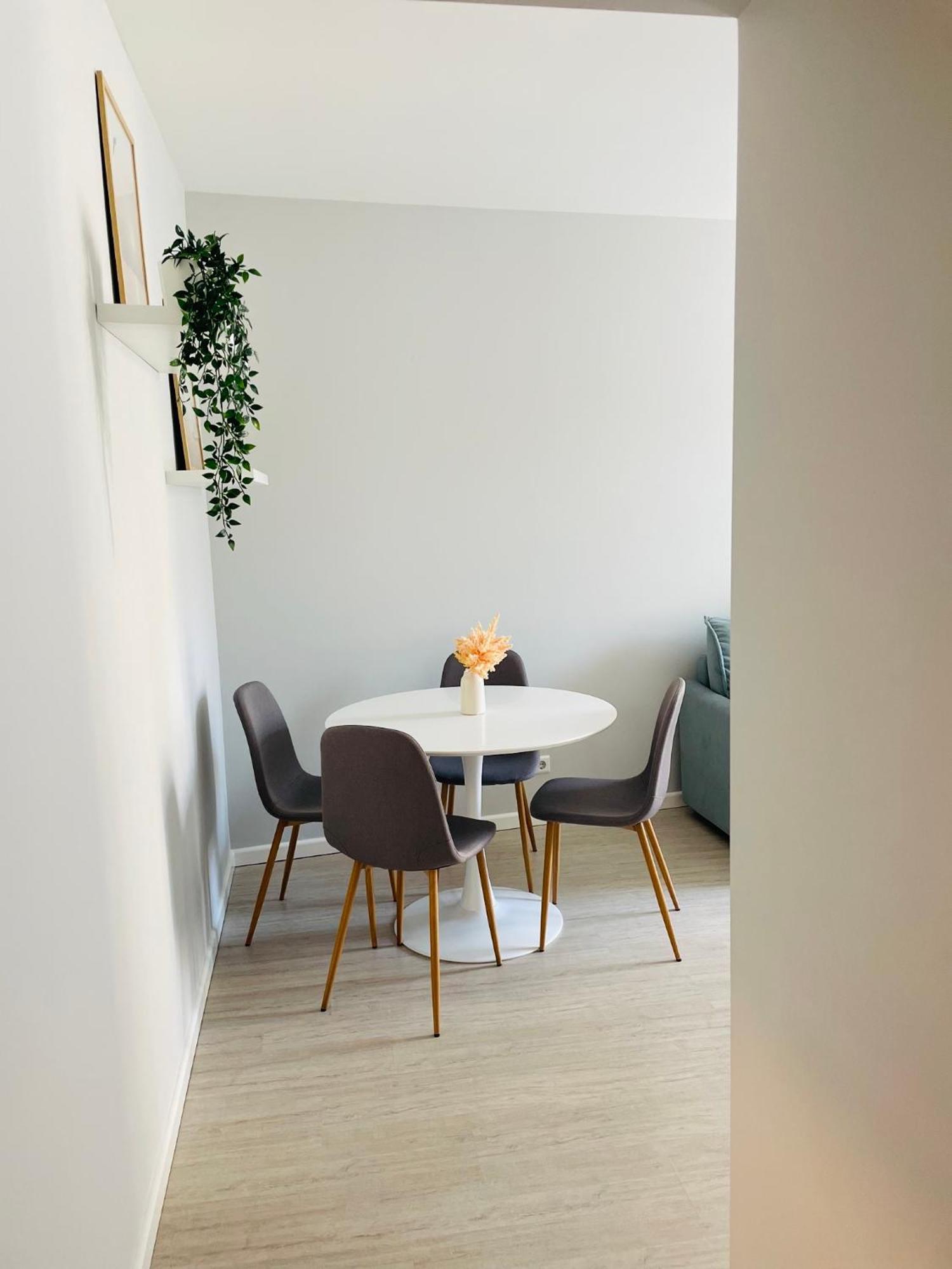 Jano Apartment Klaipeda City Center المظهر الخارجي الصورة